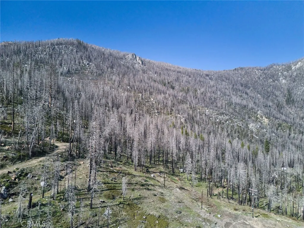 7000 Pineâ view Springville, CA 93265 - Photo 11 of 24