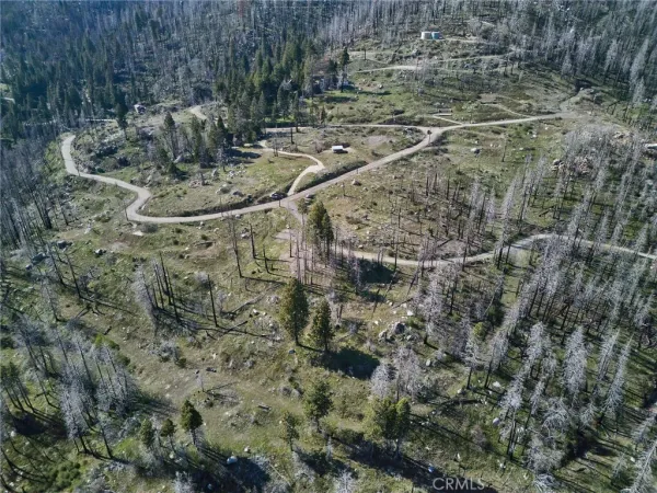a view of lot of trees and bushes