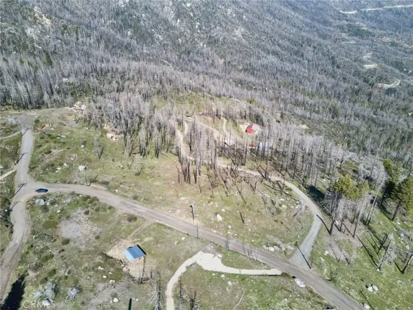 a view of a dry yard