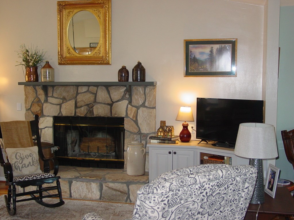 5170 Pine Crest Road Young Harris, GA 30582 - Photo 18 of 46 a living room with furniture and a fireplace