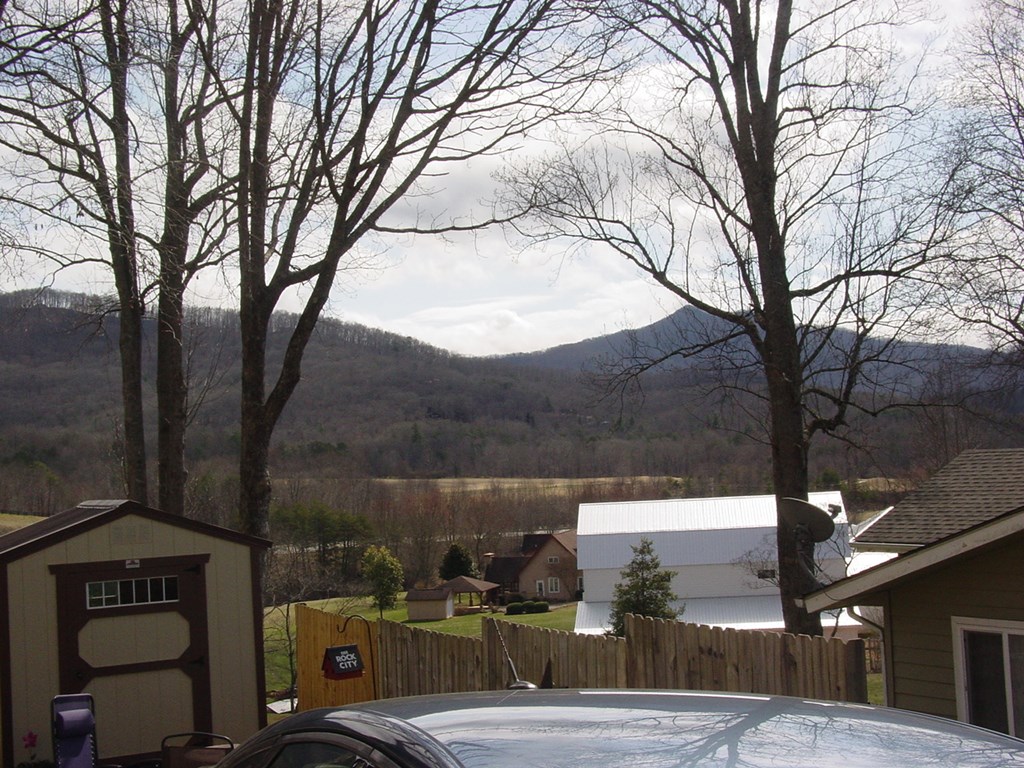 5170 Pine Crest Road Young Harris, GA 30582 - Photo 3 of 46 a view of a street with a tree