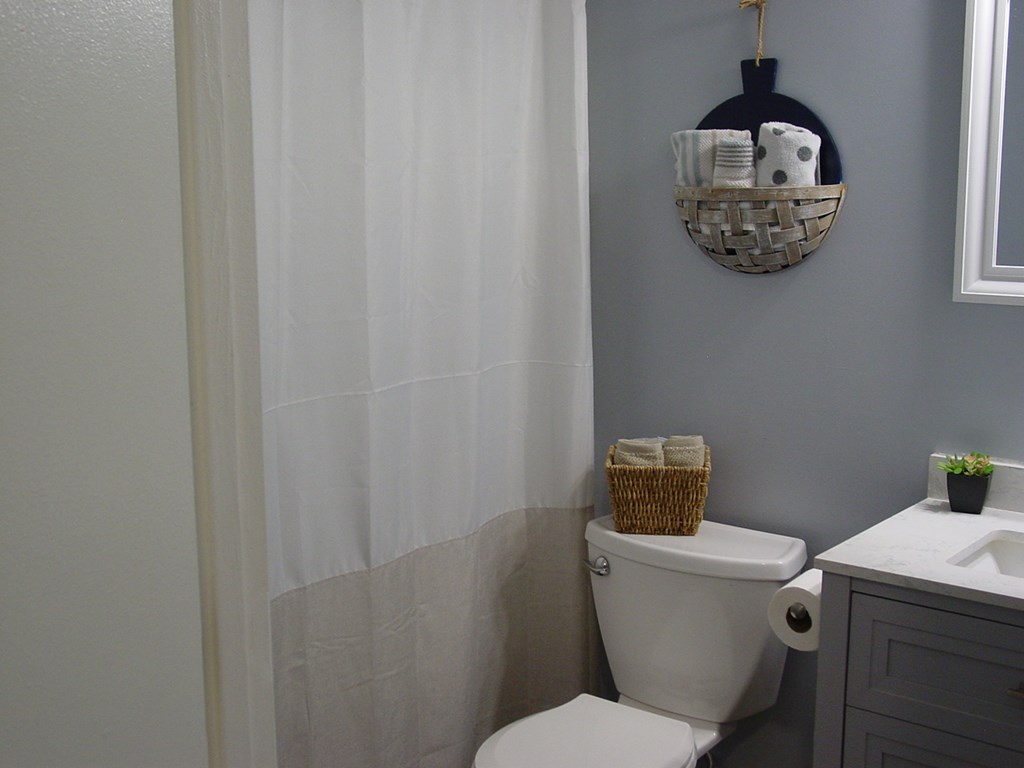 5170 Pine Crest Road Young Harris, GA 30582 - Photo 33 of 46 a bathroom with a toilet and a vanity