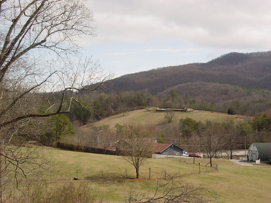 5170 Pine Crest Road Young Harris, GA 30582 - Photo 9 of 46 a view of outdoor space and city view