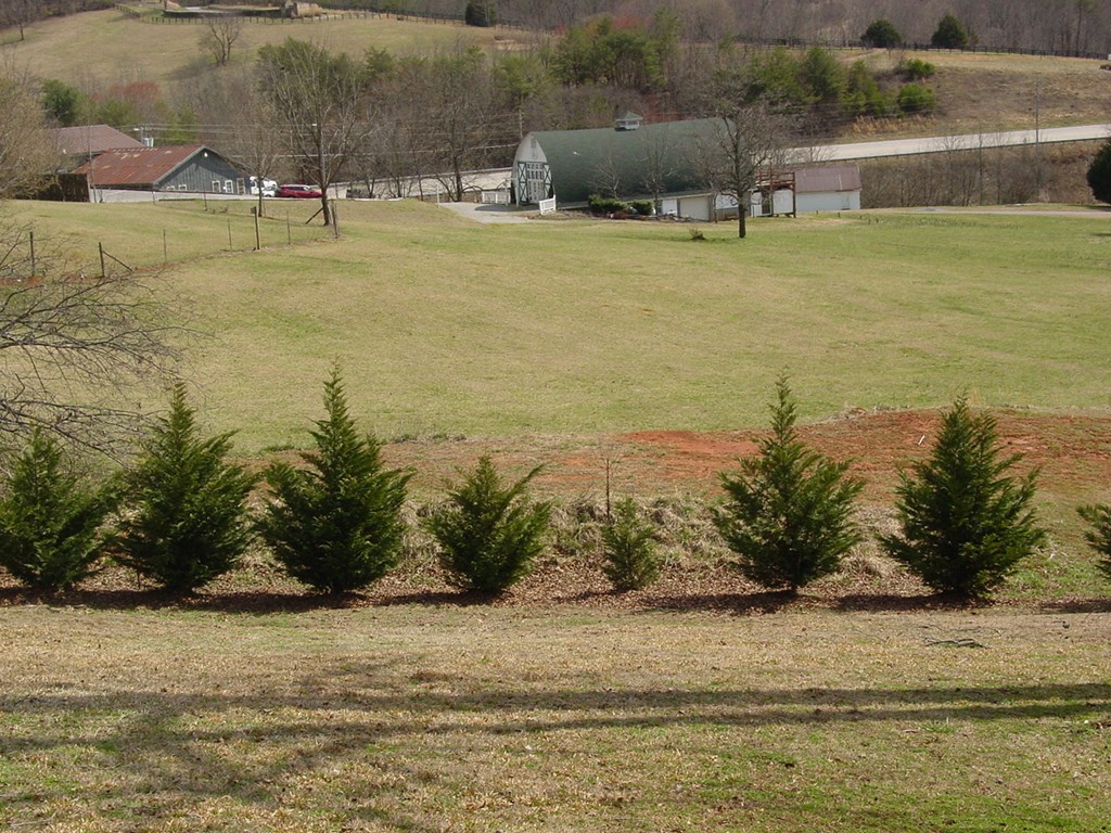 5170 Pine Crest Road Young Harris, GA 30582 - Photo 10 of 46 a view of a ocean view