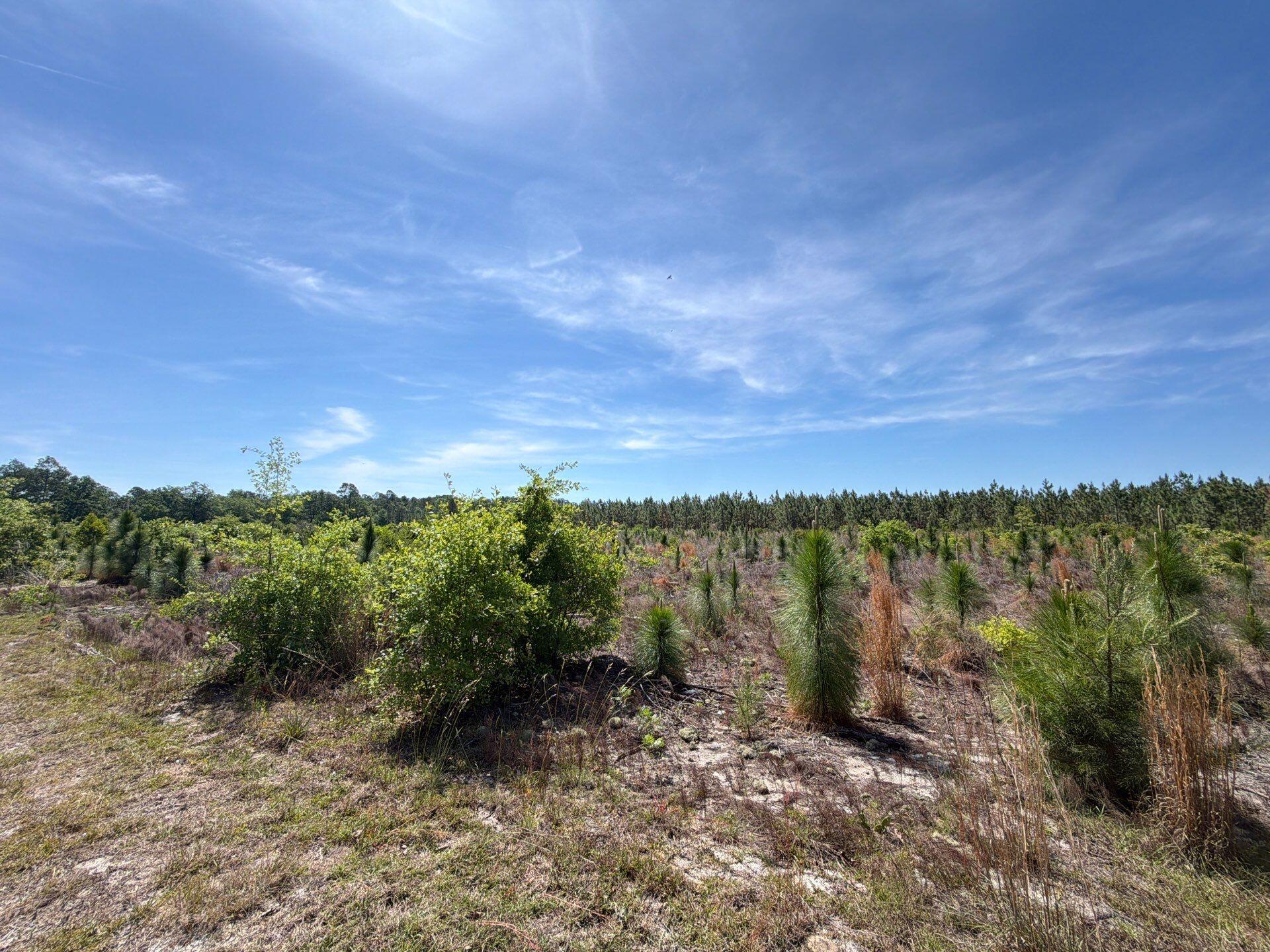 4 Holstein Road, Unit HRF 4 Wagener, SC 29164 - Photo 14 of 18 Gallery Image 14