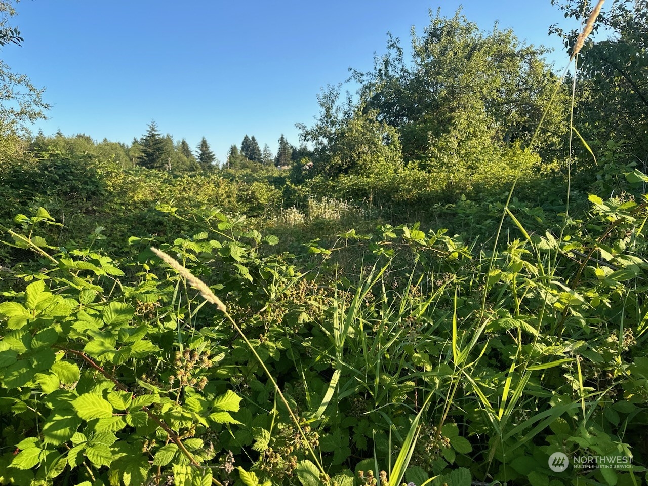 1718 Southeast Crawford Road Port Orchard, WA 98366 - Photo 1 of 2 Gallery Image 1