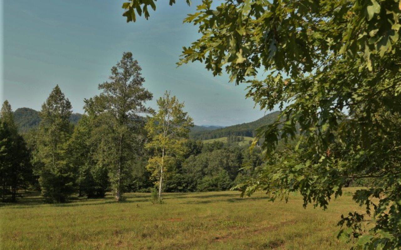 178 Welch Road Tellico Plains, TN 37385 - Photo 2 of 35 IMG_4973