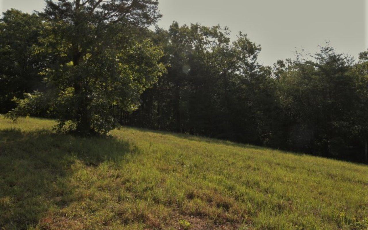 178 Welch Road Tellico Plains, TN 37385 - Photo 11 of 35 IMG_4975