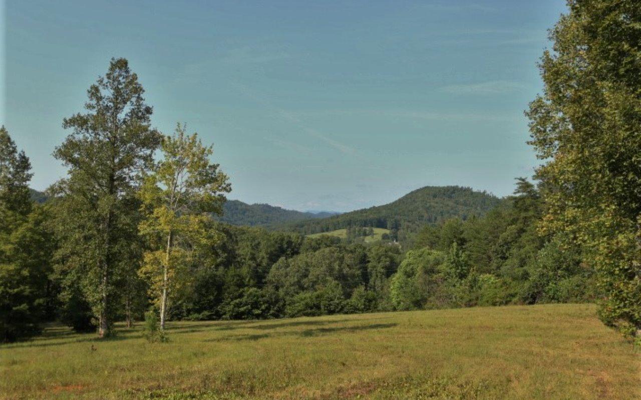 178 Welch Road Tellico Plains, TN 37385 - Photo 12 of 35 IMG_4976