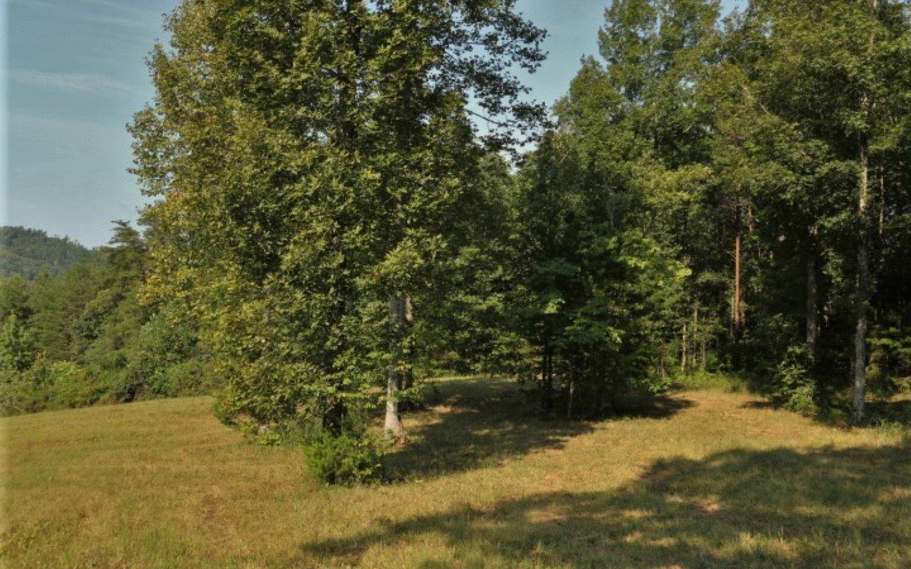 178 Welch Road Tellico Plains, TN 37385 - Photo 13 of 35 IMG_4977