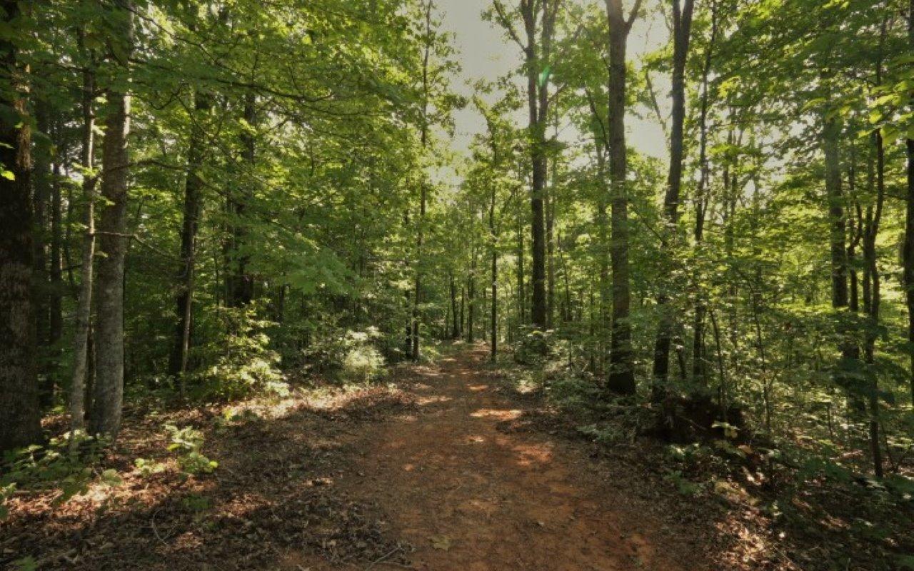 178 Welch Road Tellico Plains, TN 37385 - Photo 16 of 35 IMG_4980
