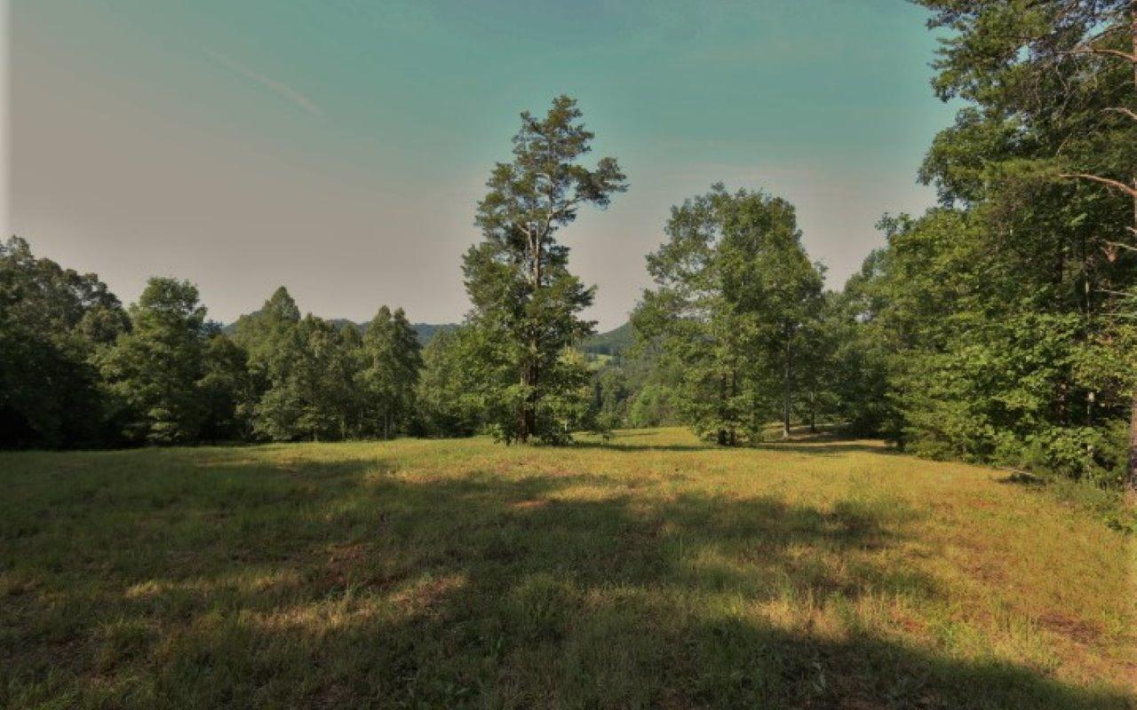 178 Welch Road Tellico Plains, TN 37385 - Photo 17 of 35 IMG_4964