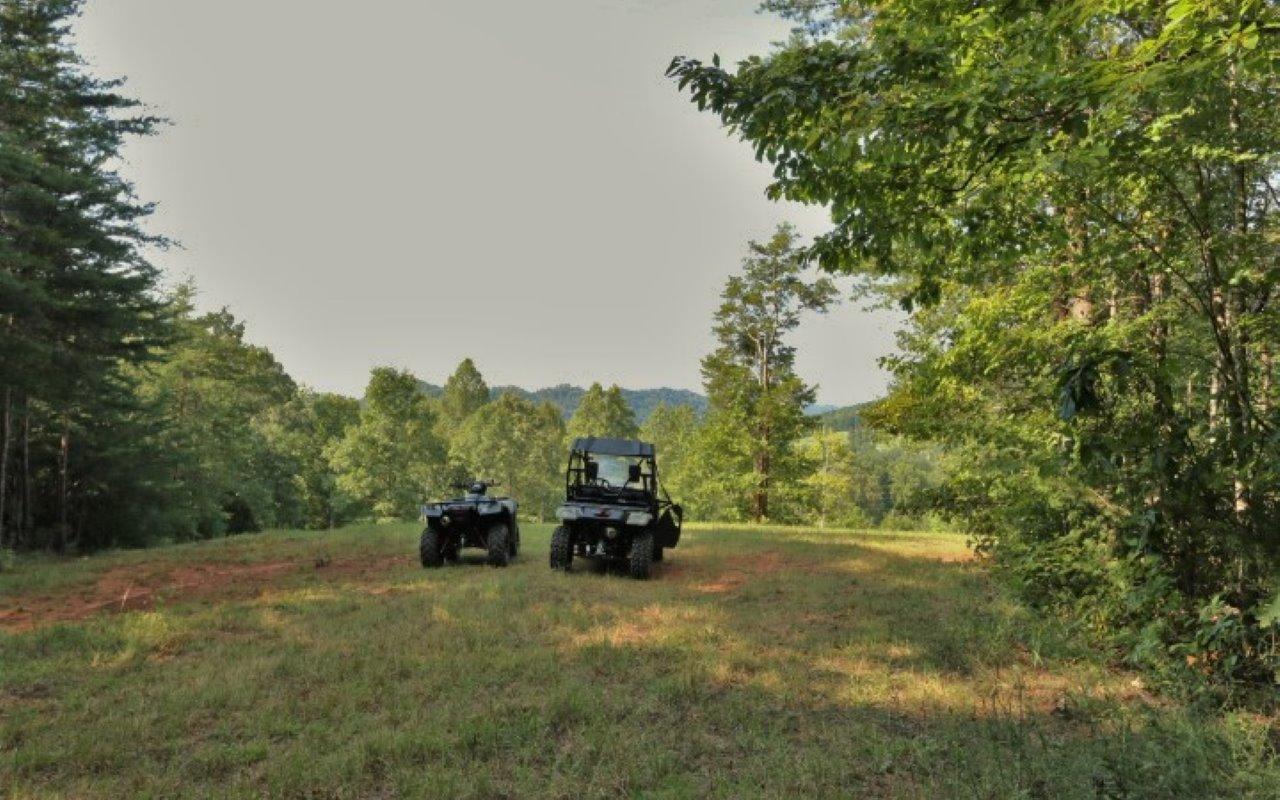 178 Welch Road Tellico Plains, TN 37385 - Photo 19 of 35 IMG_4984