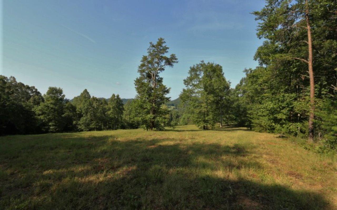 178 Welch Road Tellico Plains, TN 37385 - Photo 3 of 35 IMG_4965