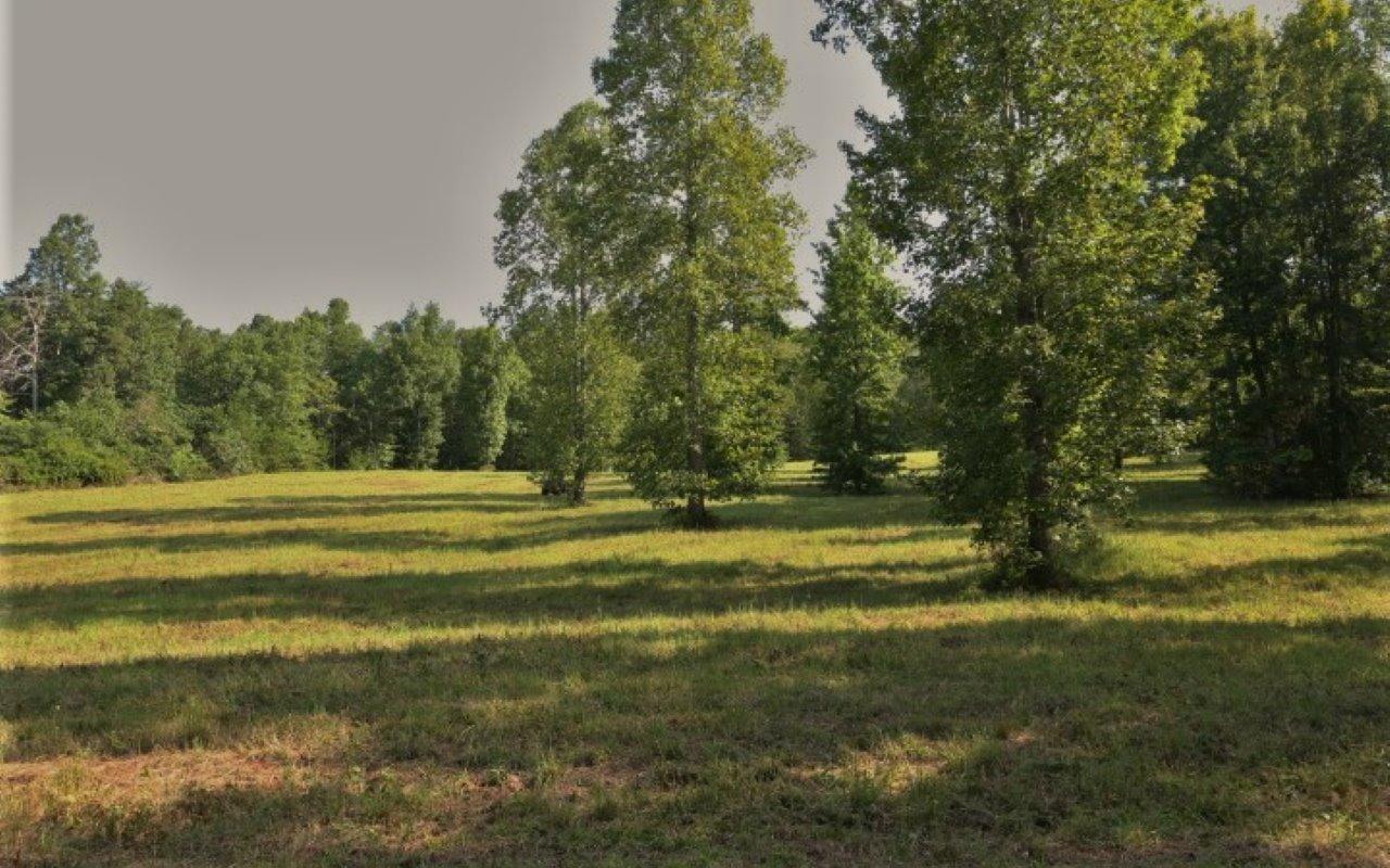 178 Welch Road Tellico Plains, TN 37385 - Photo 23 of 35 IMG_4989