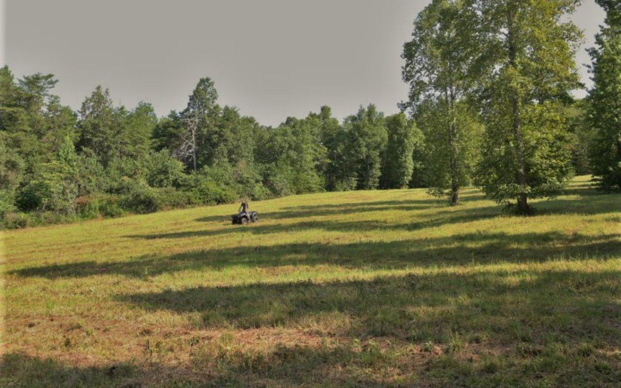 178 Welch Road Tellico Plains, TN 37385 - Photo 24 of 35 IMG_4990
