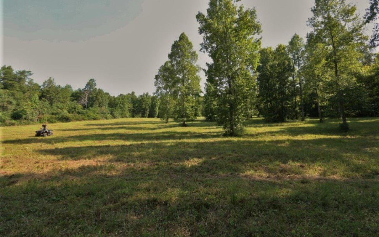 178 Welch Road Tellico Plains, TN 37385 - Photo 25 of 35 IMG_4991