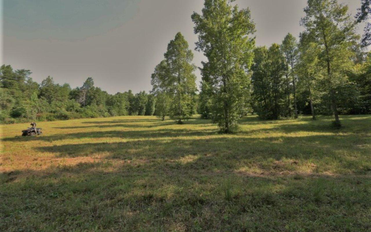 178 Welch Road Tellico Plains, TN 37385 - Photo 26 of 35 IMG_4992