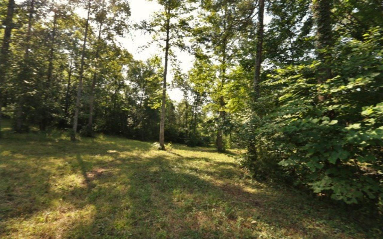 178 Welch Road Tellico Plains, TN 37385 - Photo 27 of 35 IMG_4993