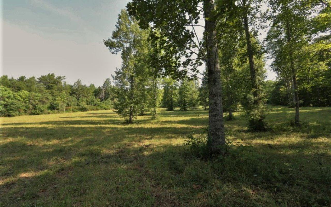 178 Welch Road Tellico Plains, TN 37385 - Photo 29 of 35 IMG_4995