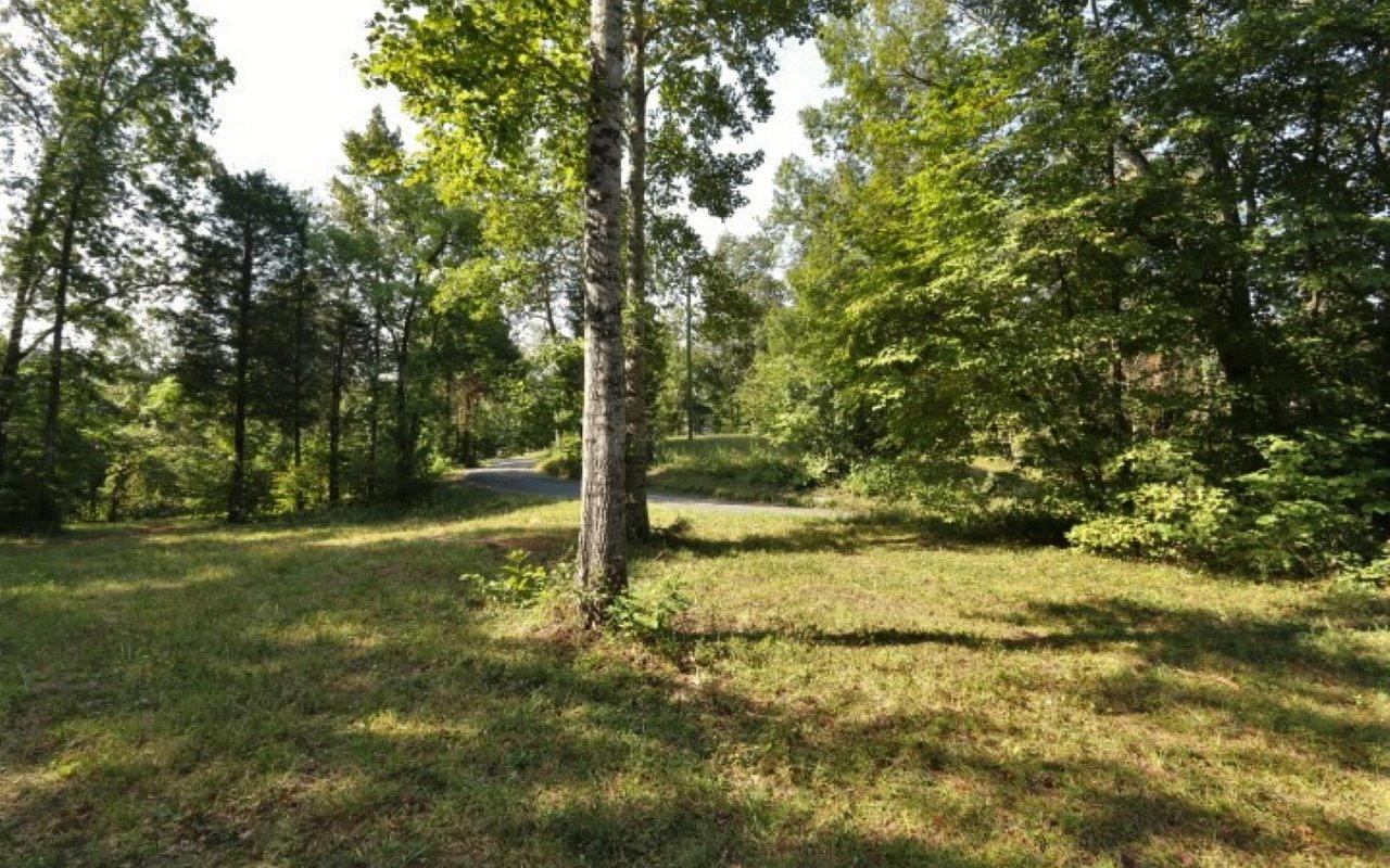 178 Welch Road Tellico Plains, TN 37385 - Photo 30 of 35 IMG_4996