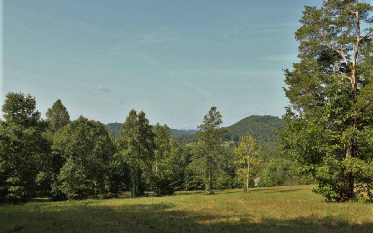 178 Welch Road Tellico Plains, TN 37385 - Photo 4 of 35 IMG_4966