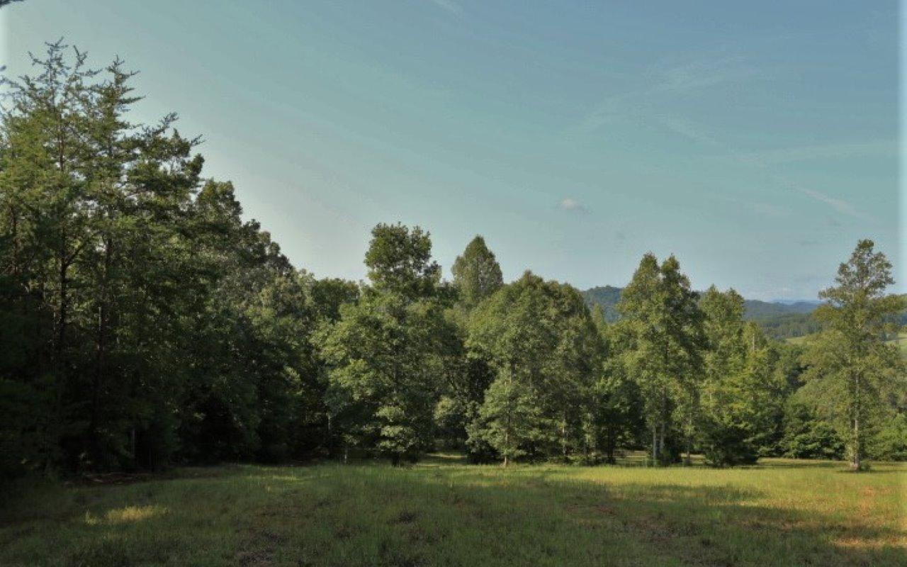 178 Welch Road Tellico Plains, TN 37385 - Photo 5 of 35 IMG_4967