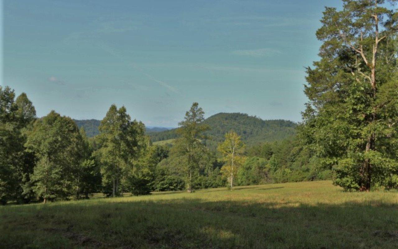 178 Welch Road Tellico Plains, TN 37385 - Photo 6 of 35 IMG_4968