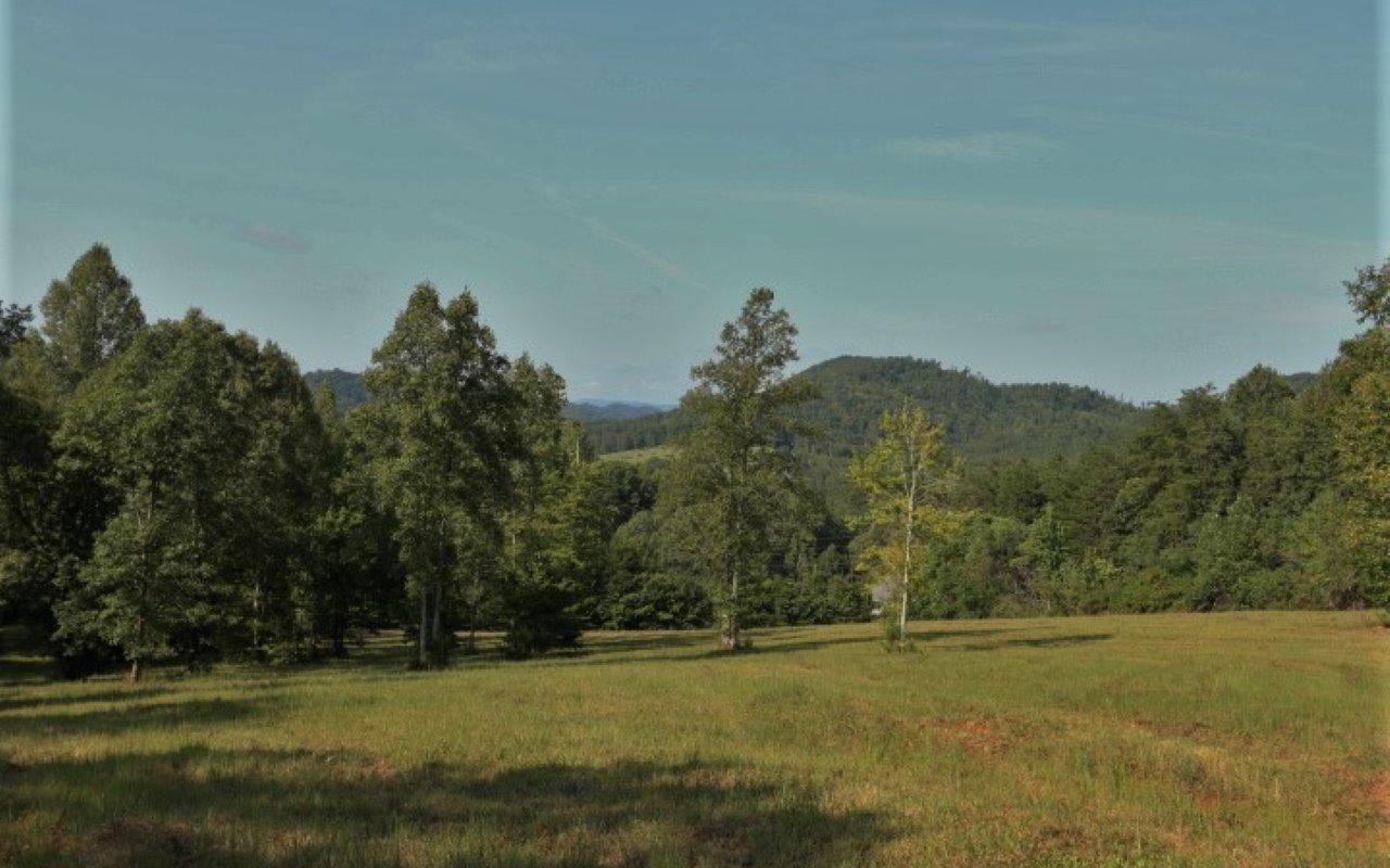 178 Welch Road Tellico Plains, TN 37385 - Photo 8 of 35 IMG_4970