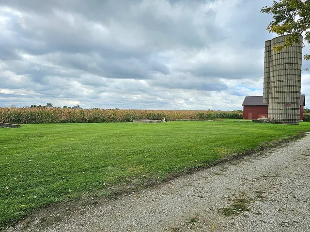 a view of a big yard with potted plants and big tree