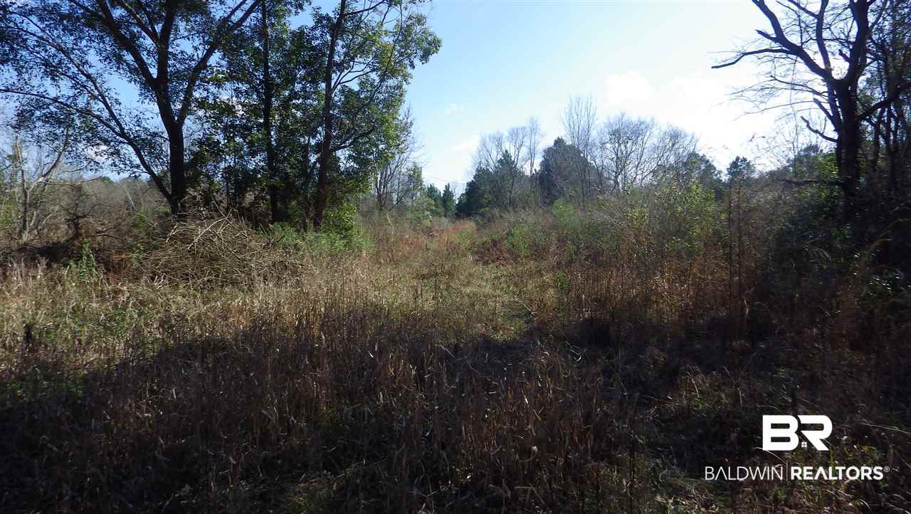 26665 Bruhn Road Elberta, AL 36530 - Photo 5 of 8