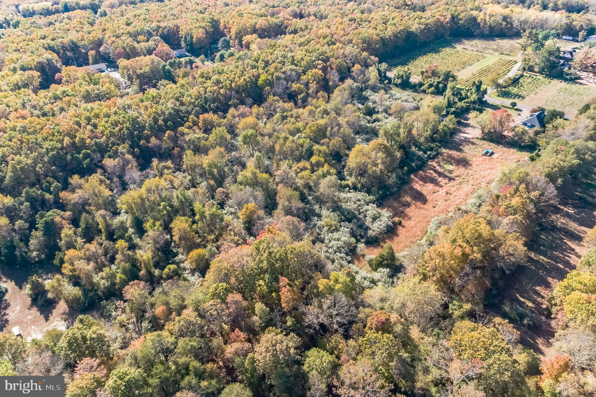 208 Vineyard Road Atco, NJ 08004 - Photo 31 of 41