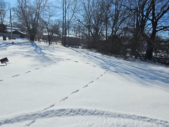 $17,500 | 517 Myrtis Street, Indianapolis, IN 46208