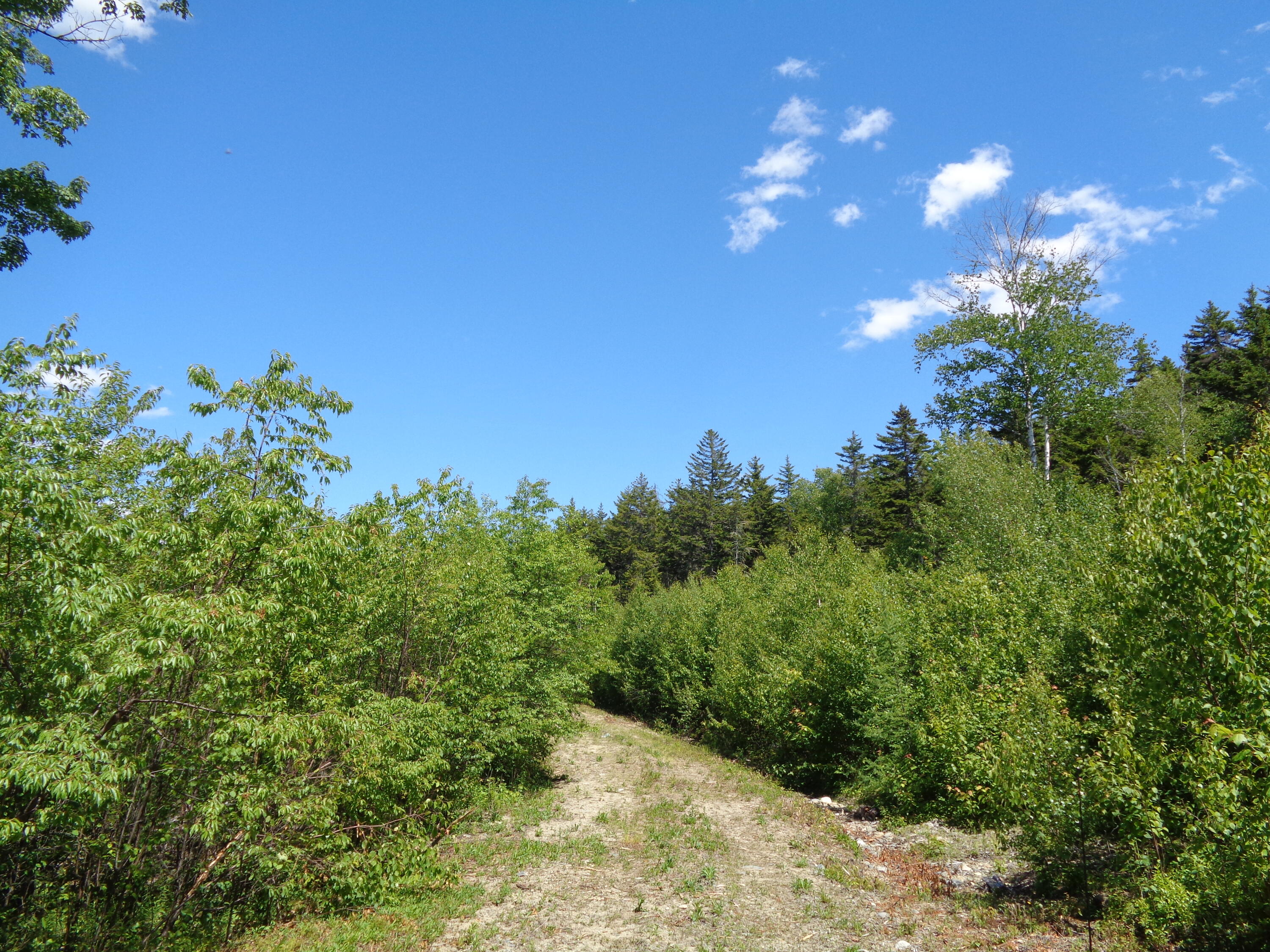 Lot 18 Pond Road Gouldsboro, ME 04607 - Photo 2 of 17 DSC04425