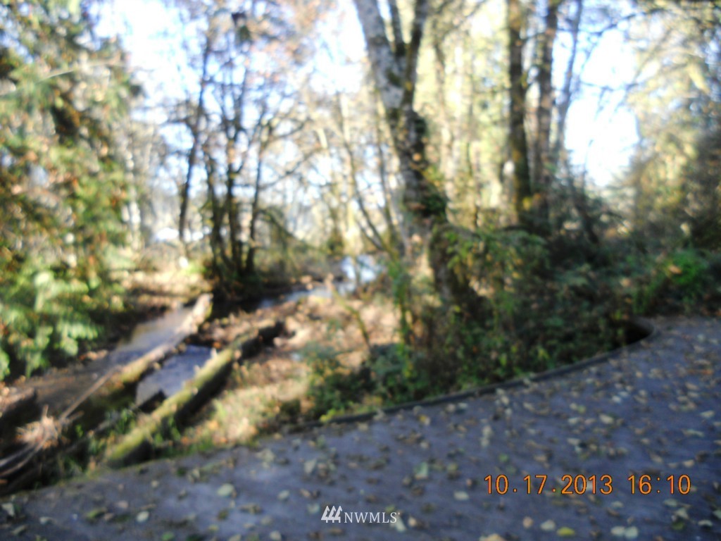 2817 Lincoln Creek Road Rochester, WA 98579 - Photo 3 of 20