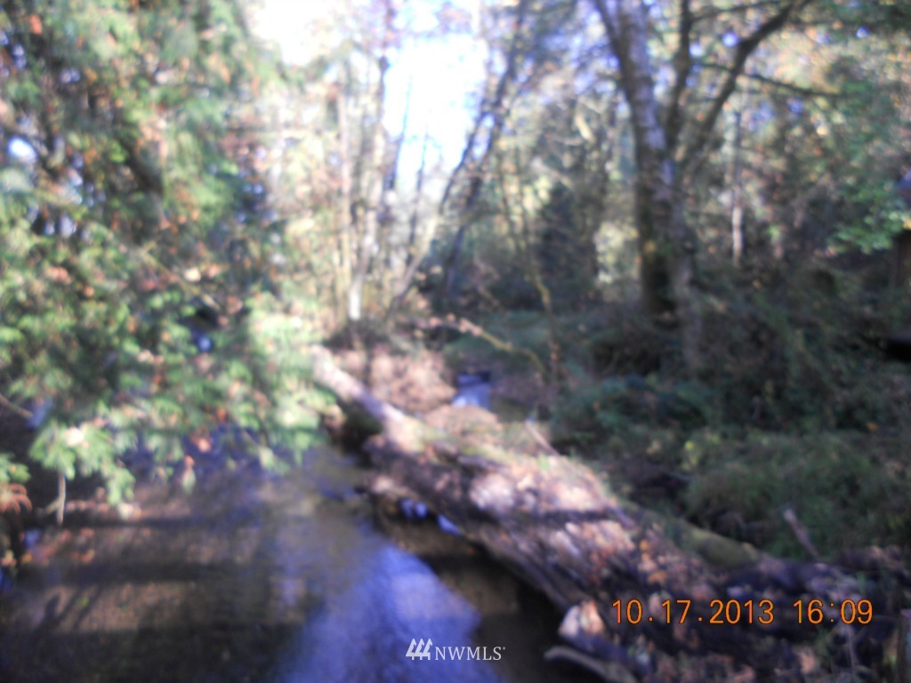 2817 Lincoln Creek Road Rochester, WA 98579 - Photo 4 of 20
