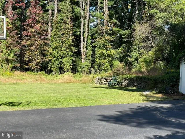 a view of a yard with an tree