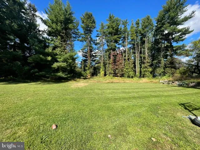a view of a yard with plants