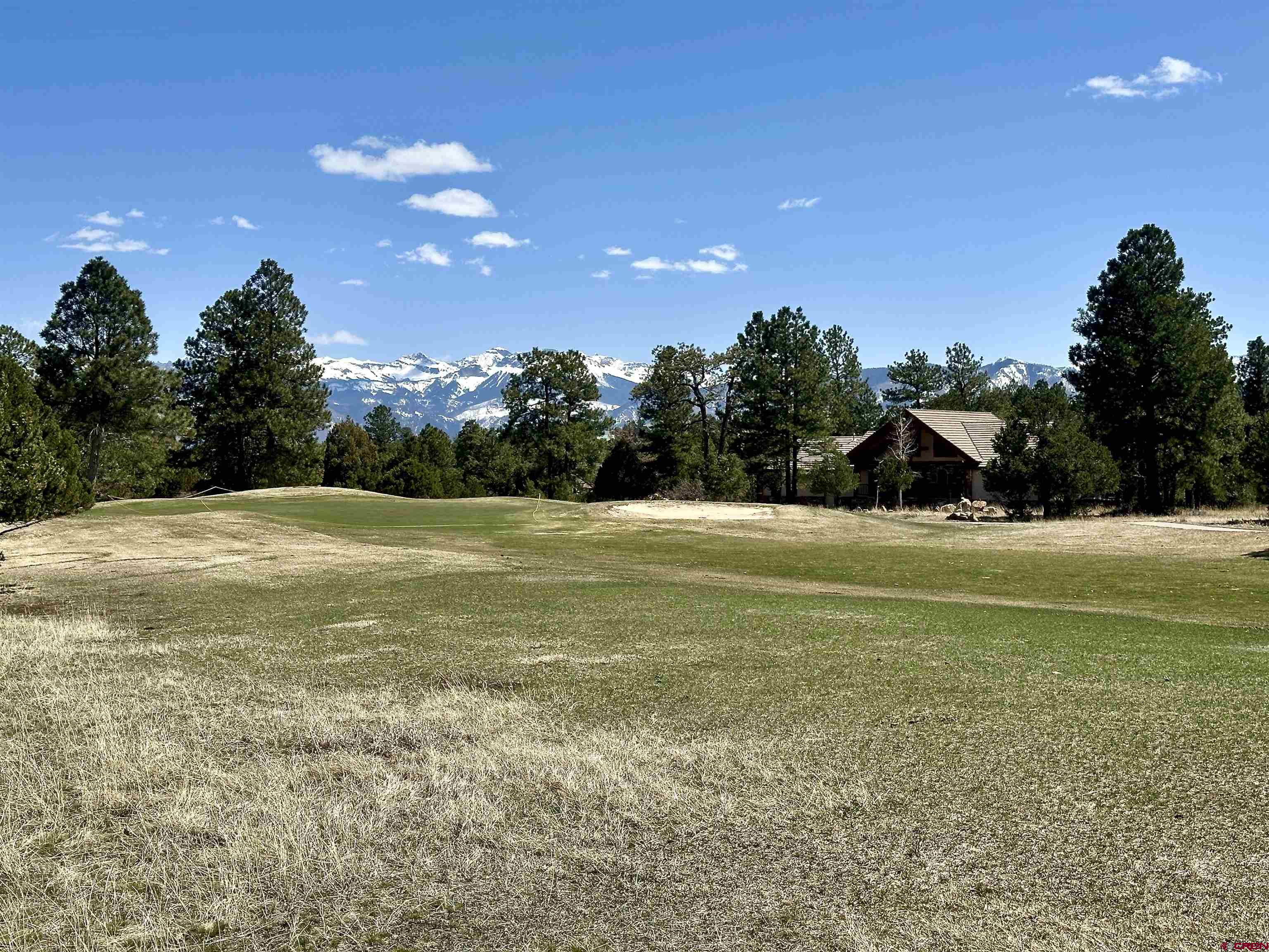 V314 Marmot Drive Ridgway, CO 81432 - Photo 1 of 11 a view of outdoor space with garden and trees
