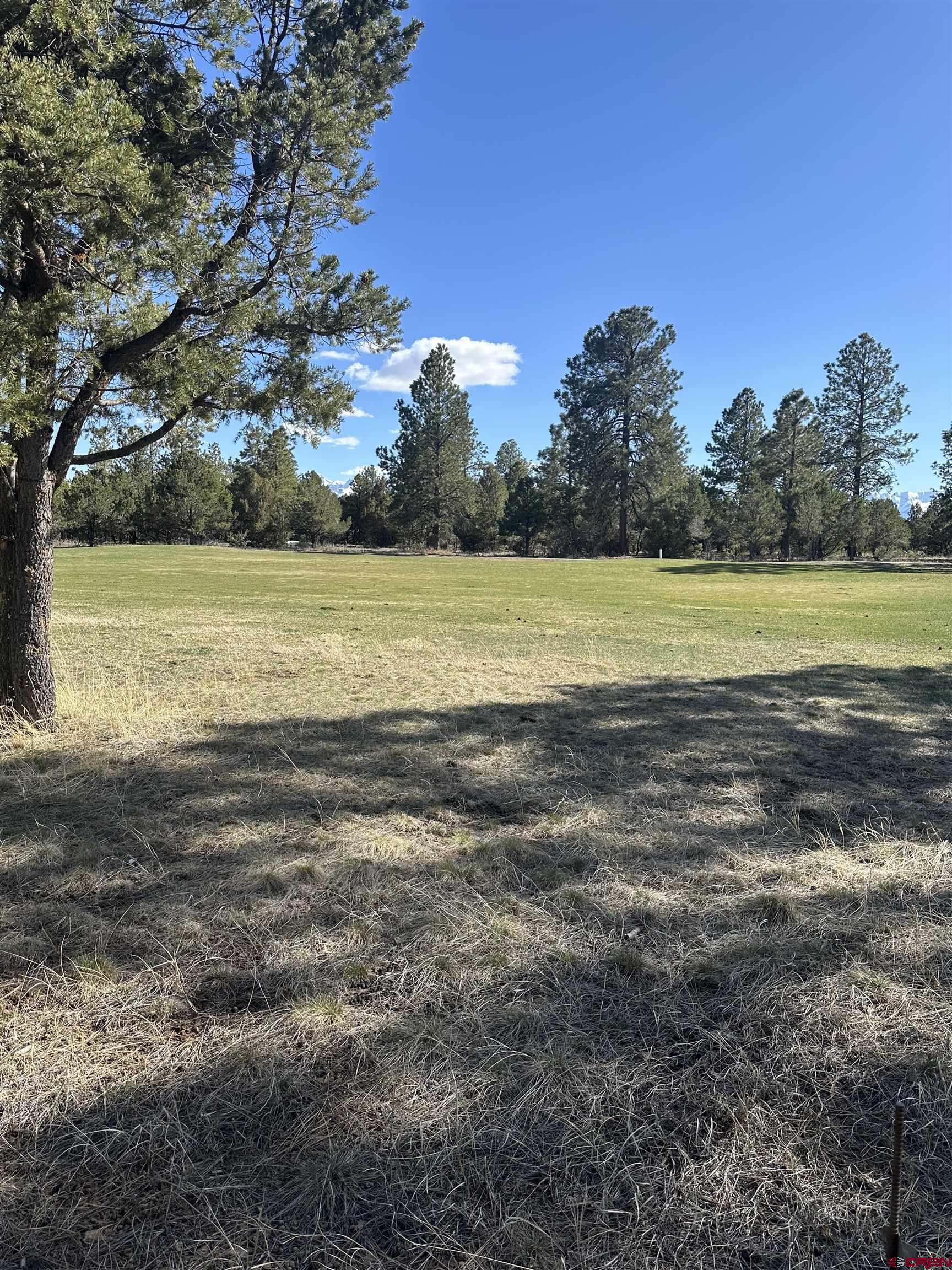 V314 Marmot Drive Ridgway, CO 81432 - Photo 7 of 11 a view of an ocean and trees