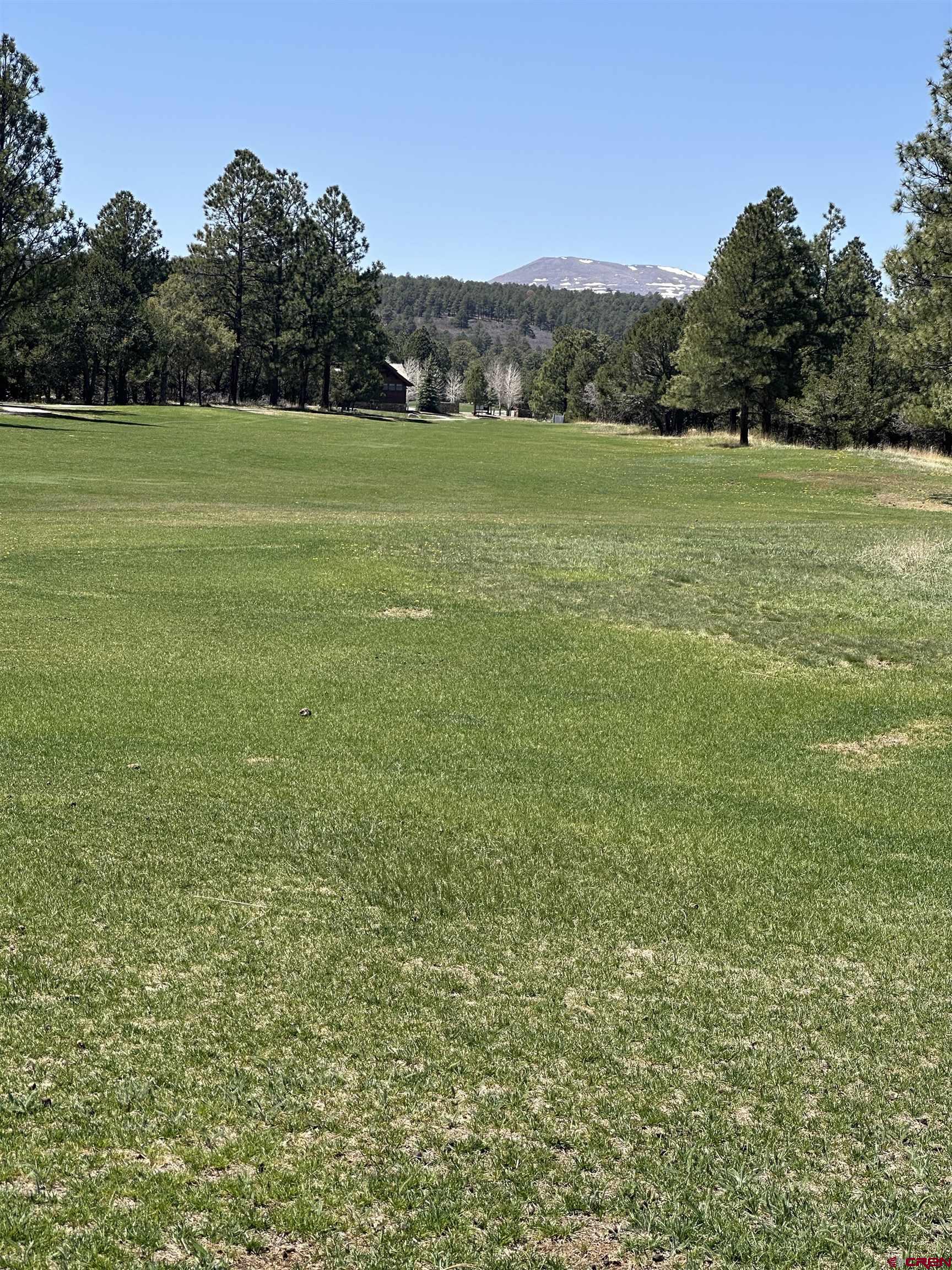 V314 Marmot Drive Ridgway, CO 81432 - Photo 9 of 11 a view of field with grass and trees