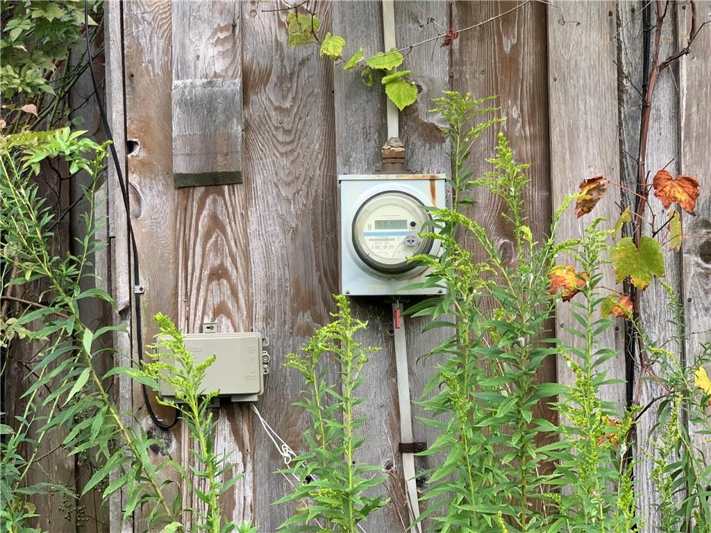 302 Arcadia Road Arcadia, PA 15712 - Photo 23 of 25 a close up of a plant in a garden