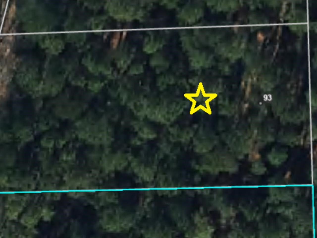 93 Regis Lane Coats, NC 27521 - Photo 30 of 31