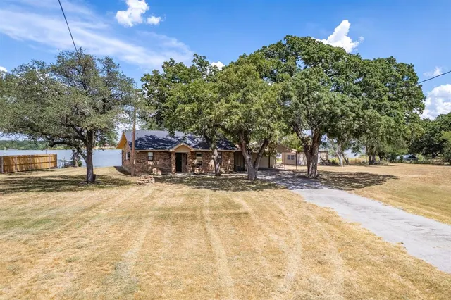 a view of a yard with plants and trees