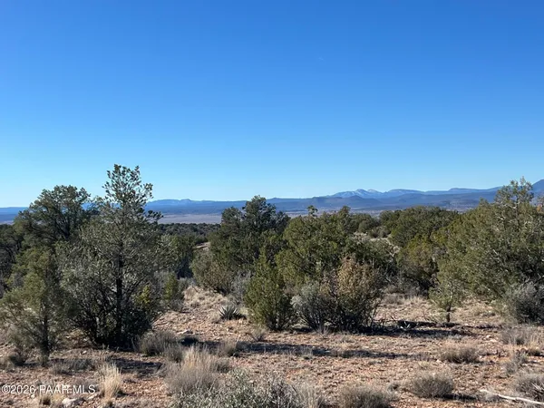 a view of a mountain range with trees in the background