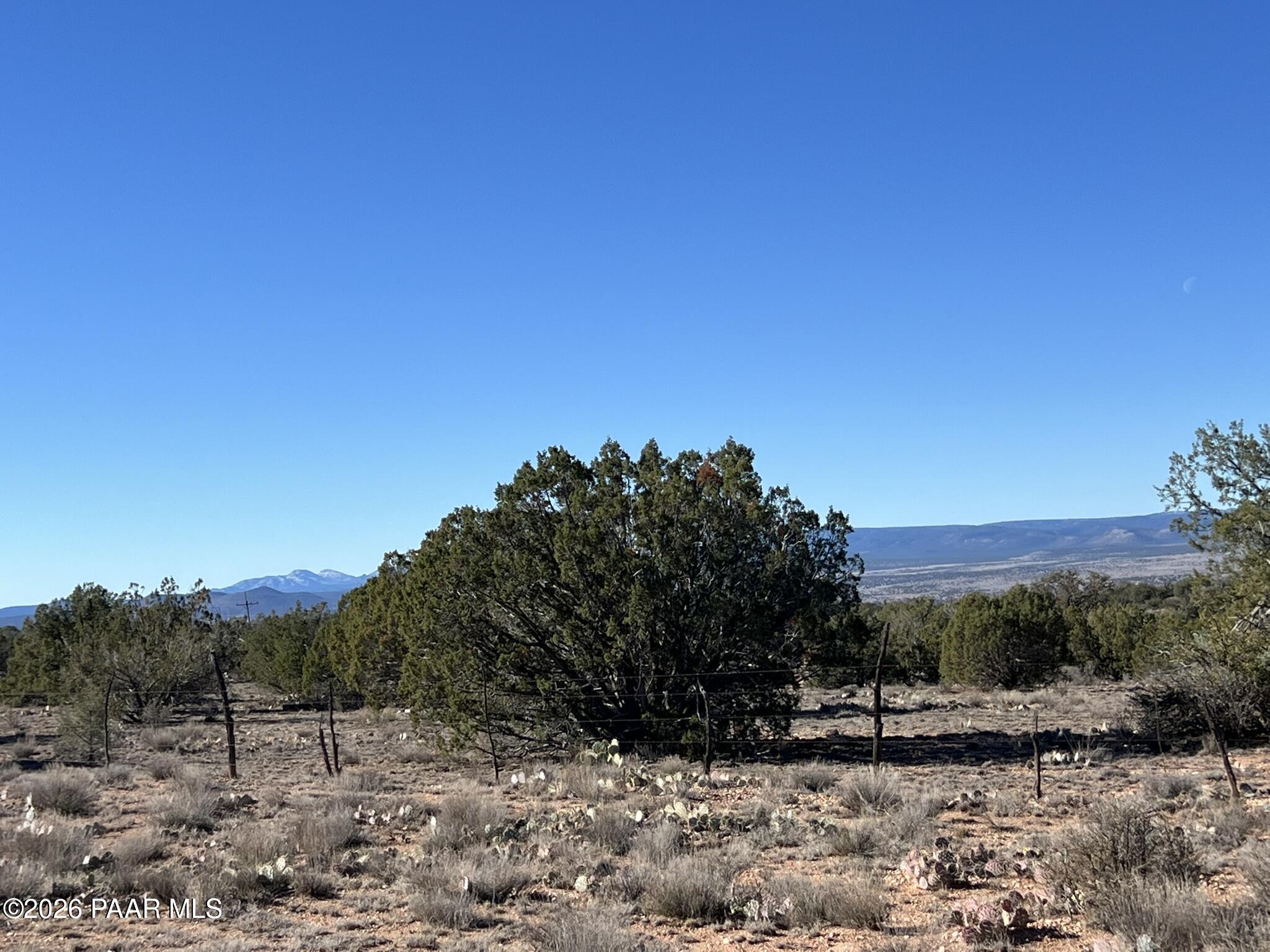 298 Quartz Hill Road Ash Fork, AZ 86320 - Photo 15 of 15 a view of a dry yard with trees in the background