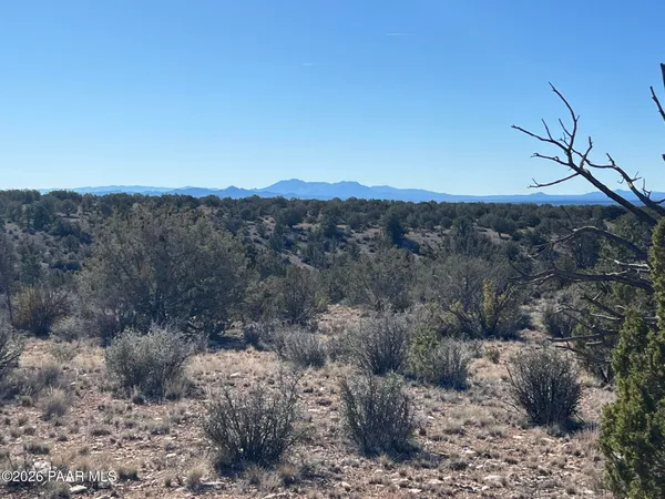 a view of a dry yard with green space