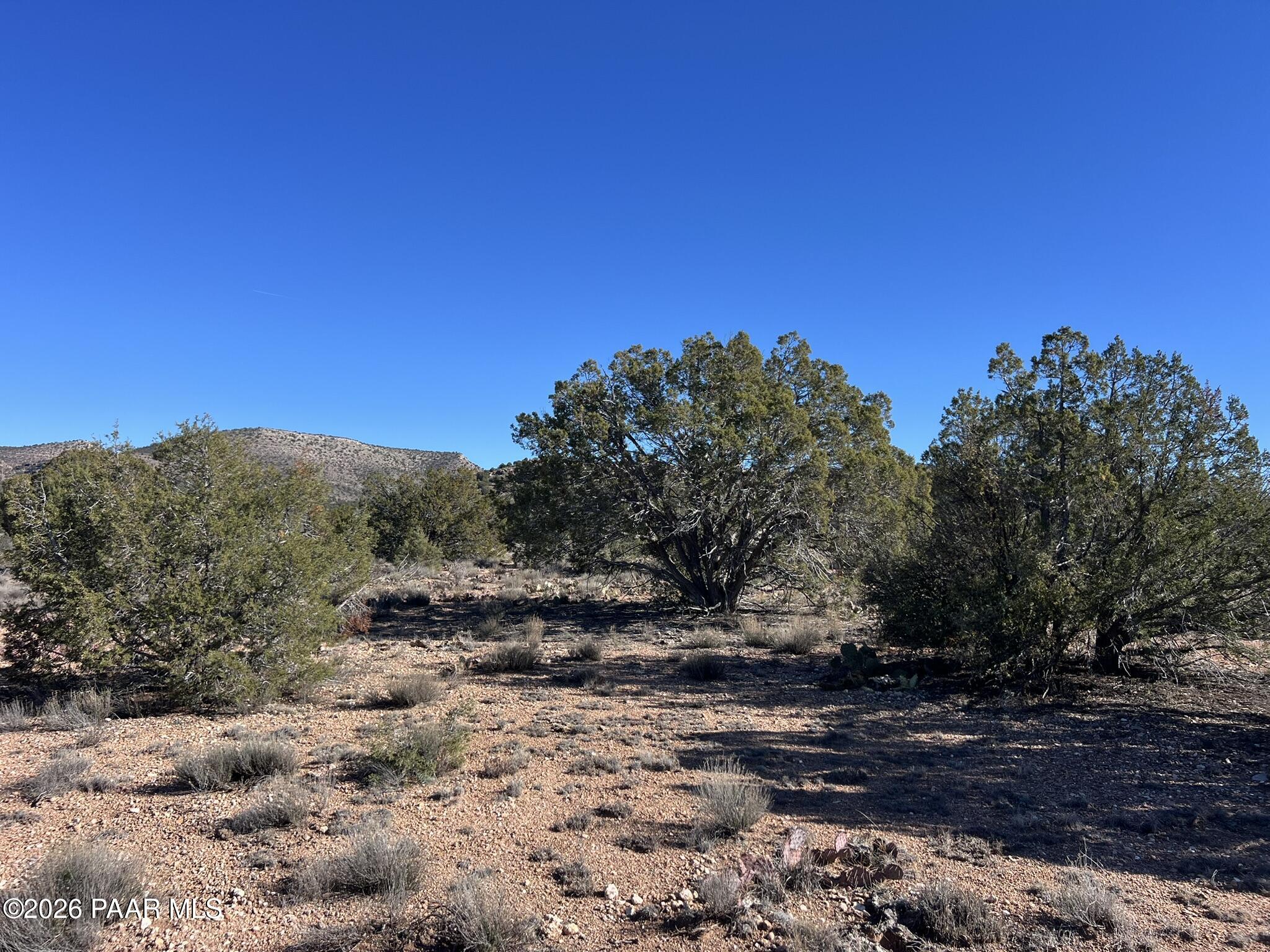 298 Quartz Hill Road Ash Fork, AZ 86320 - Photo 4 of 15 a view of a road with a tree in the background