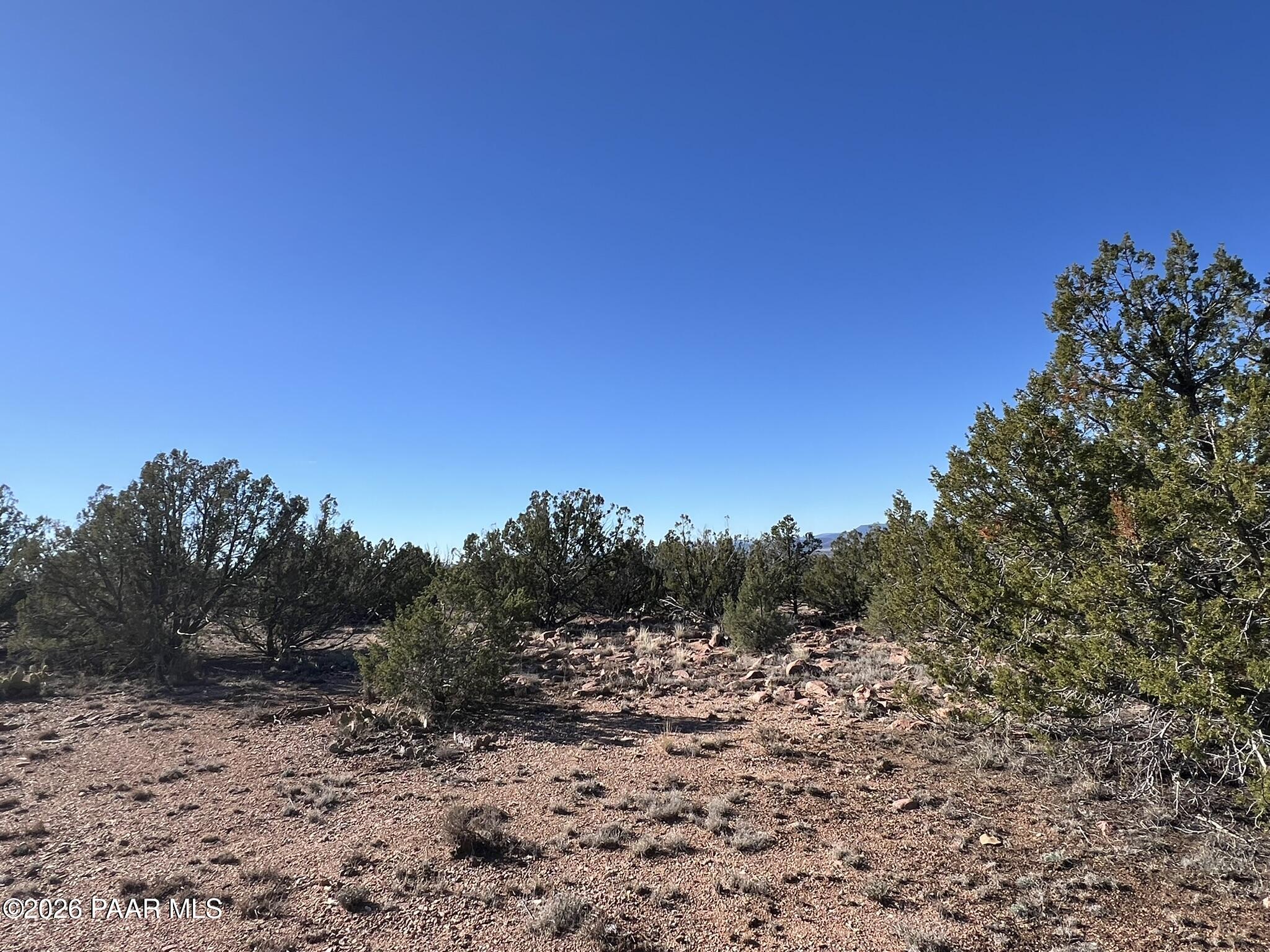 298 Quartz Hill Road Ash Fork, AZ 86320 - Photo 5 of 15 a view of a dry yard with trees in the background