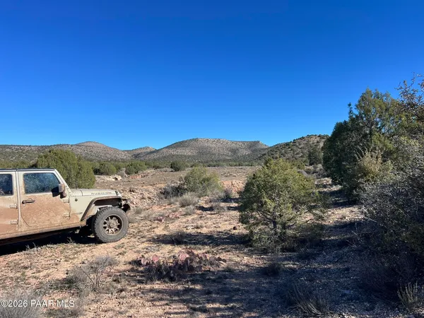a view of a couches in a big yard